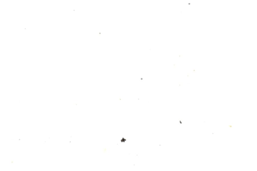 Image 70